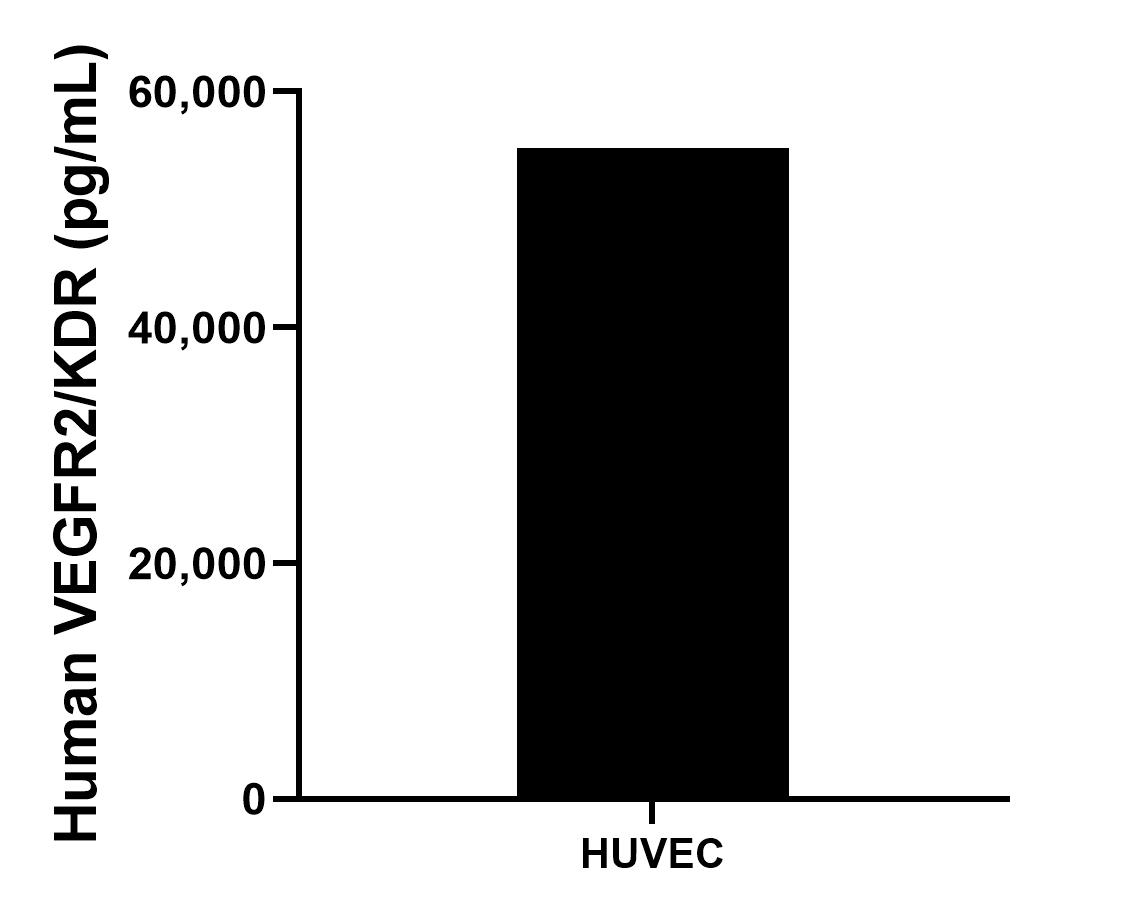 The mean human VEGFR2/KDR concentration was determined to be 55,216.6 pg/mL in HUVEC cell extract based on a 0.4 mg/mL extract load.